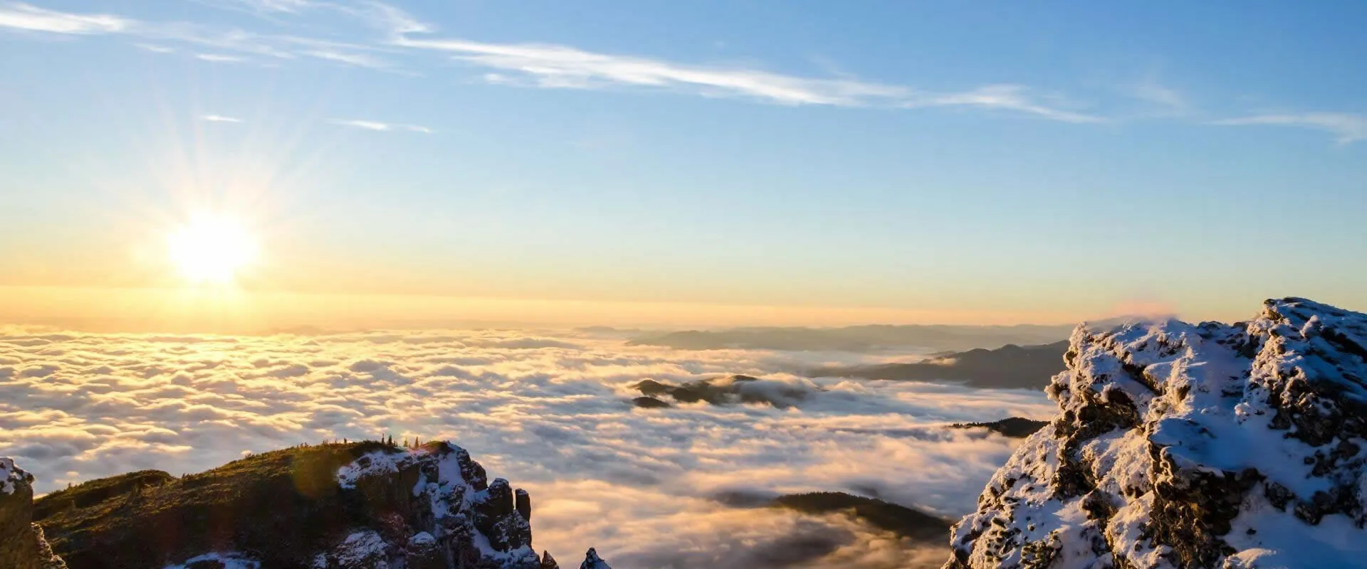 The team is comprised of top performers.