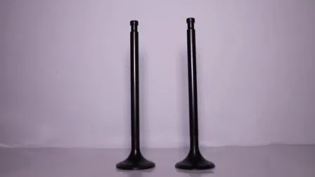 Diesel Engine Part Detroit Inlet and Exhaust Valve for S60 