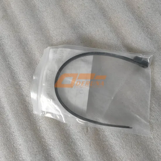 190003171697 Sinotruk HOWO Sitrak C5h C7h Plastic Fastening Belt for Sinotruk Sitrak Truck Spare Parts 