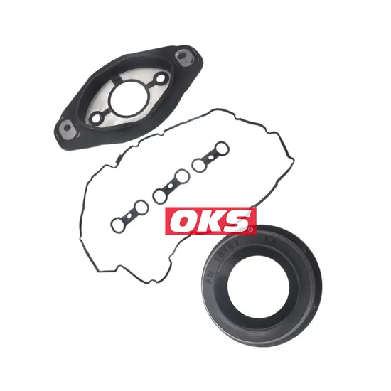 Car Engine Parts NBR 11127552280 11127559699 Valve Cover Gasket Assembly for BMW Engine Accessories 
