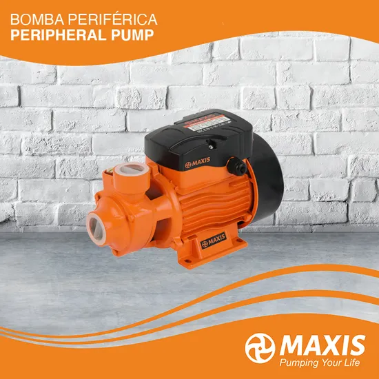 1/2HP Electric Cast Iron High Pressure Transfer Clean Vortex Peripheral Centrifugal Water Pump Set Qb60 Irrigation 