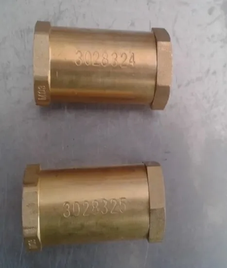 Diesel Engine Parts Check Valve 185505 for Cummins K38 Nt855 