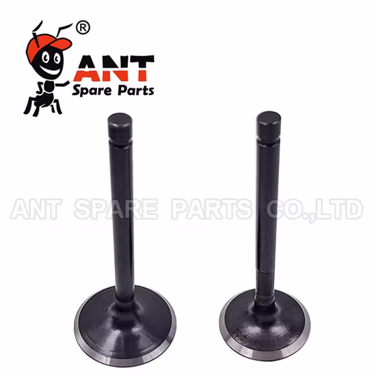 High Quality Diesel Engine Part C9 Ex&in Valve 241