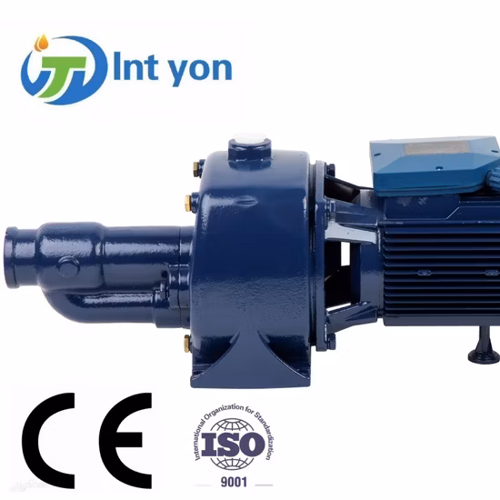 High Quality Cast Iron Household Peripheral /Vortex/Centrifual Water Pumps (QB60)