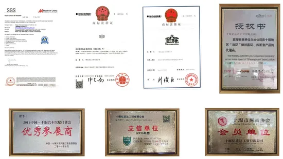 Diesel Engine S50 Spare Parts Valve Stem Seal 23523930 8929072 S60 Valve Stem Seal Series 60 8929072 23523930 for Machinery Truck 