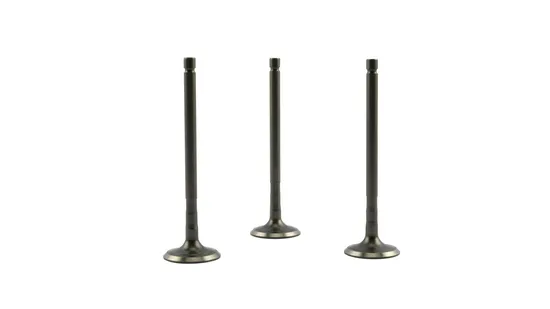 Inlet Valve CB200 OEM Quality Motorcycle Engine Parts Fit for Honda 