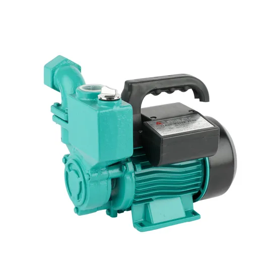 Home Use Centrifugal Shower Pressure Booster Water Pump Self Priming Peripheral Pump 